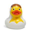 duck55.png