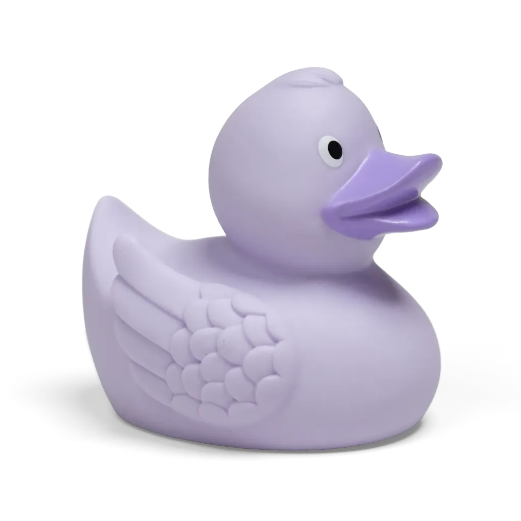 duck23.webp