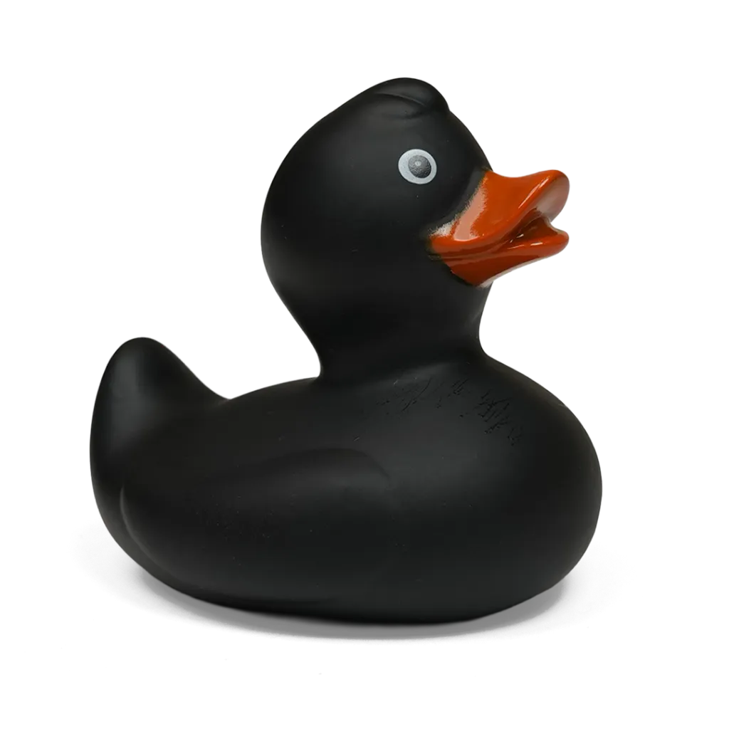 duck46.webp