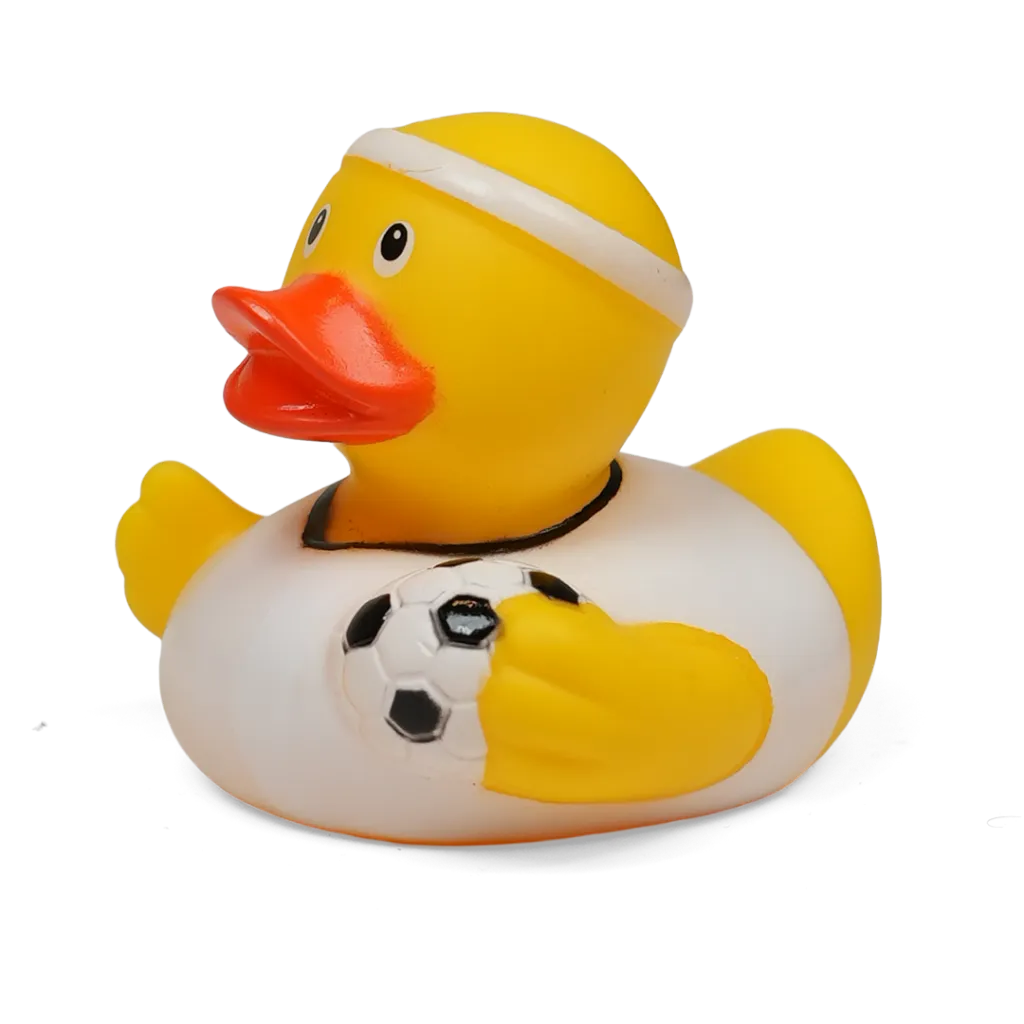 duck33-f.webp