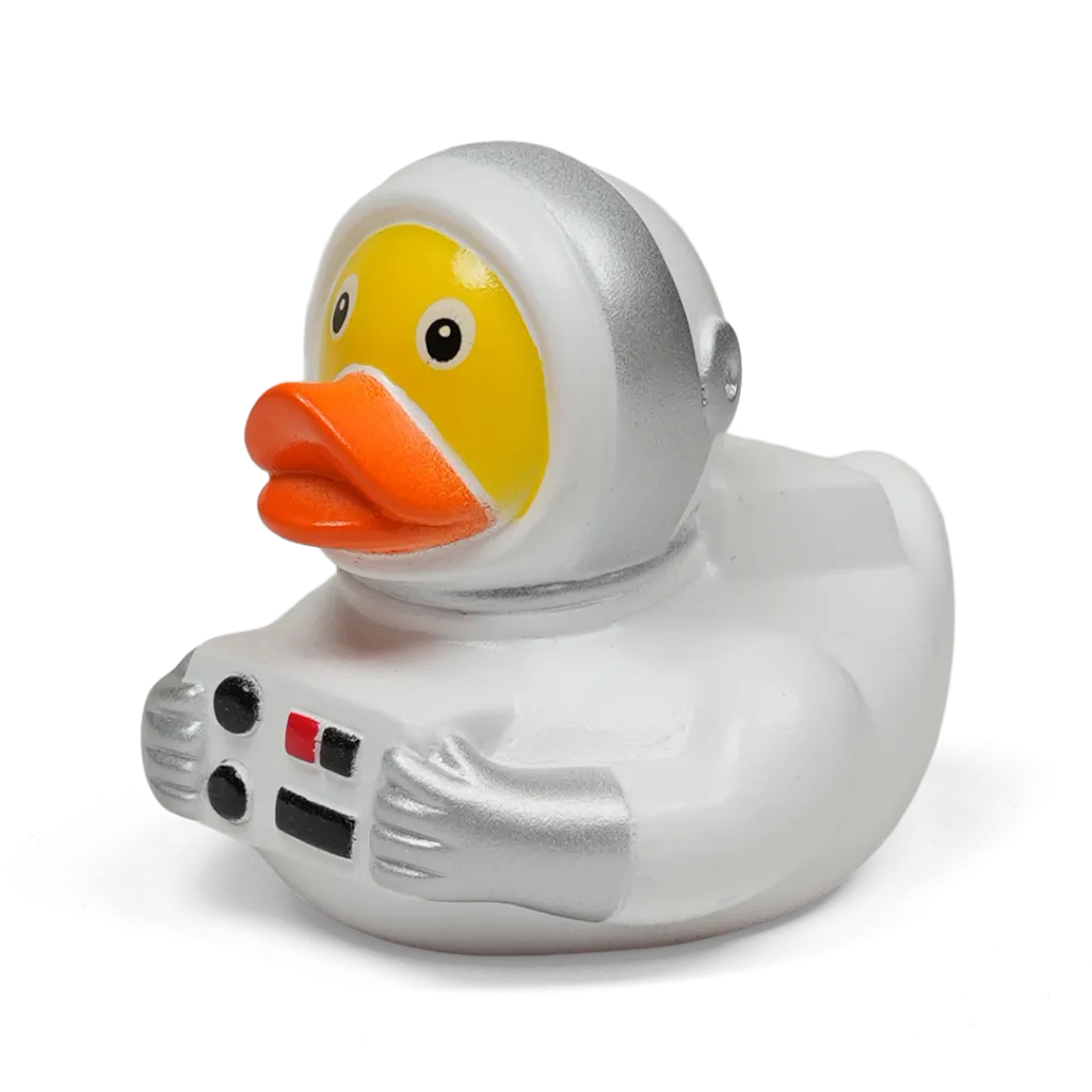 _duck67.webp