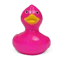 duck96.webp